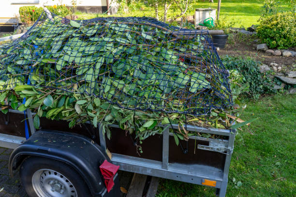 Best Furniture Removal  in Omak, WA